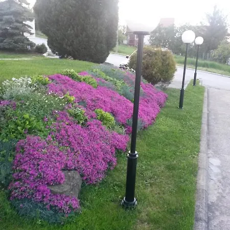 Vidikovac Bed & Breakfast 4*